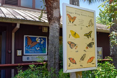 October 2026 Program Guides for Daggerwing Nature Center